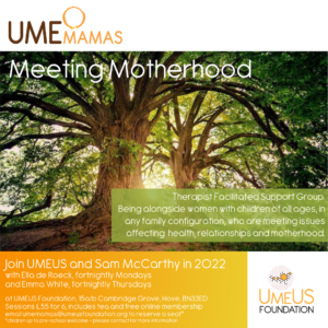 UMEmamas_meeting_motherhood
